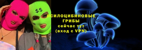apvp Дмитровск