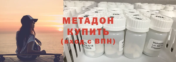 индика Дмитриев