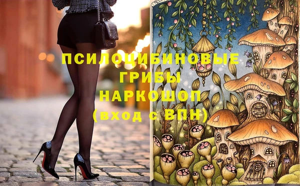 спайс Алексин