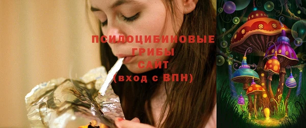 спайс Алексин