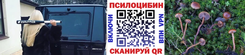 OMG ONION  Бердск  Галлюциногенные грибы ЛСД 